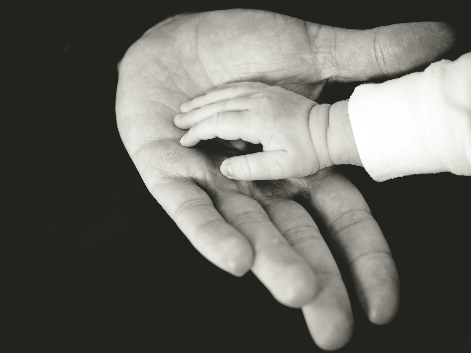 An adult's hand holding a small child's hand