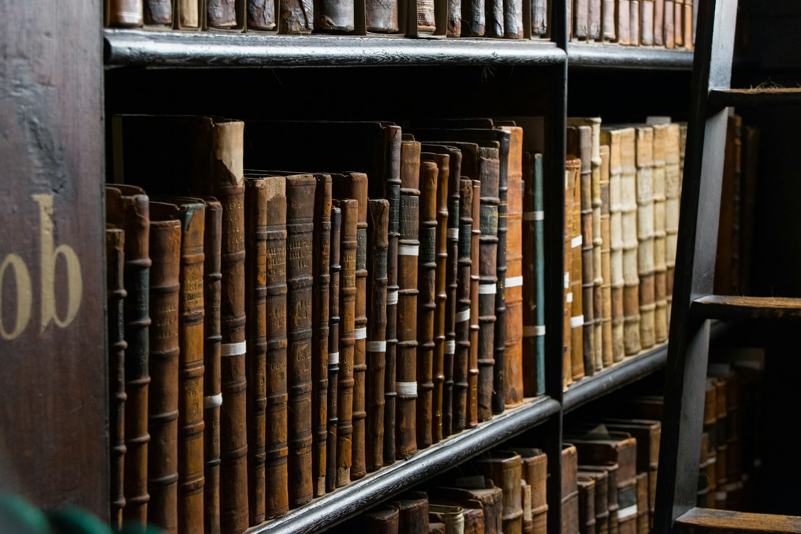 A rolling ladder against a wall of bound law reports in a library